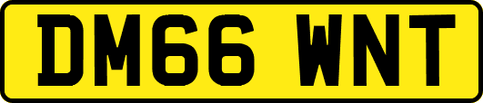 DM66WNT