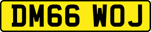 DM66WOJ
