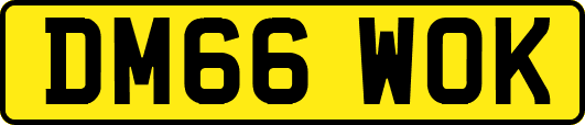 DM66WOK