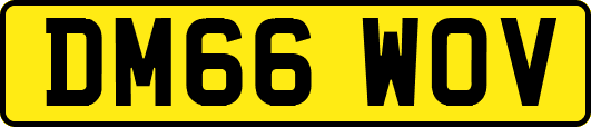 DM66WOV