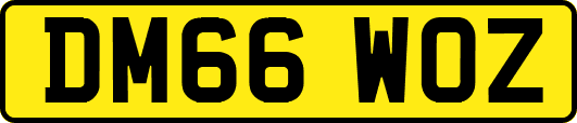 DM66WOZ