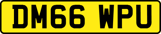 DM66WPU
