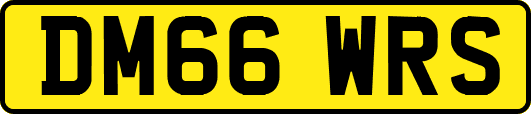 DM66WRS