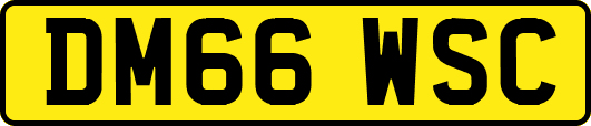 DM66WSC