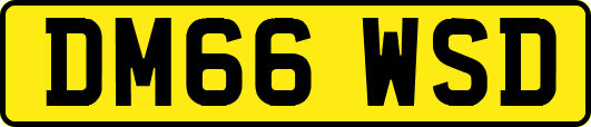DM66WSD