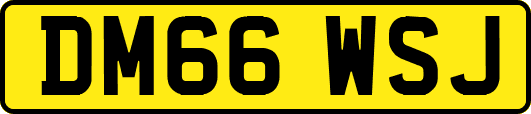 DM66WSJ