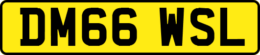 DM66WSL