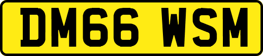 DM66WSM