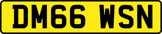DM66WSN