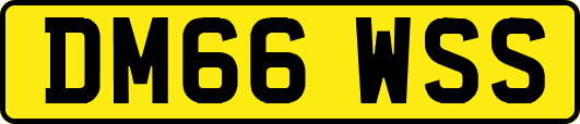 DM66WSS