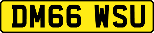 DM66WSU