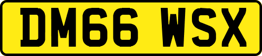 DM66WSX