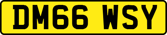 DM66WSY