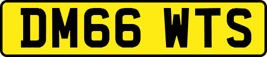 DM66WTS