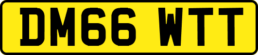 DM66WTT