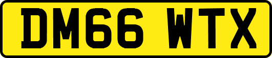 DM66WTX