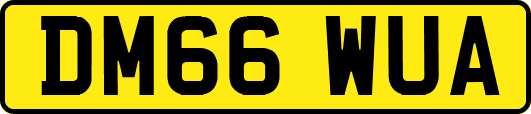 DM66WUA