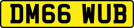 DM66WUB
