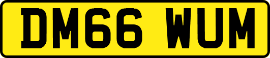DM66WUM