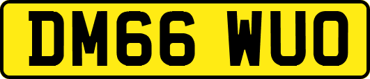 DM66WUO
