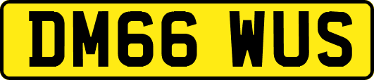 DM66WUS
