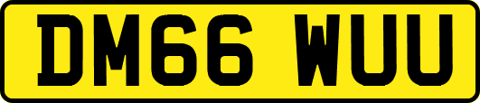 DM66WUU