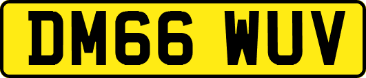 DM66WUV