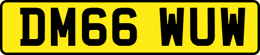 DM66WUW