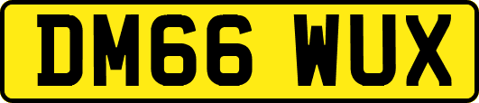 DM66WUX