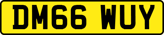 DM66WUY