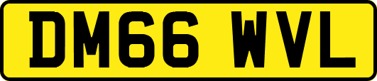 DM66WVL