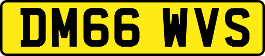 DM66WVS