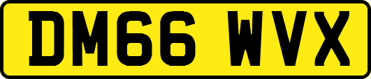 DM66WVX