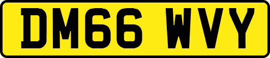 DM66WVY
