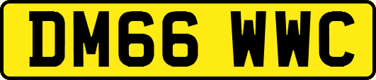 DM66WWC