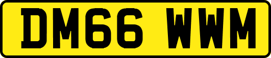 DM66WWM