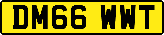 DM66WWT