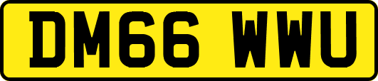 DM66WWU