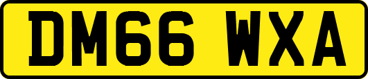 DM66WXA