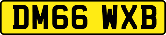 DM66WXB