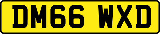 DM66WXD