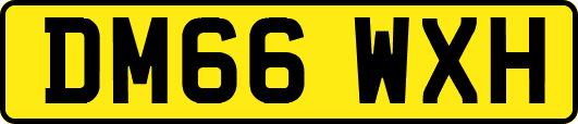 DM66WXH