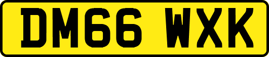 DM66WXK