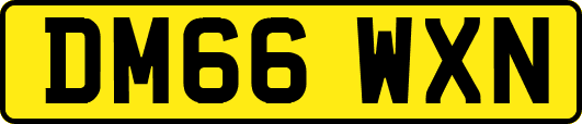 DM66WXN