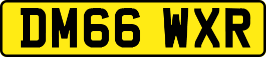 DM66WXR