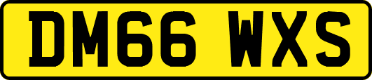 DM66WXS