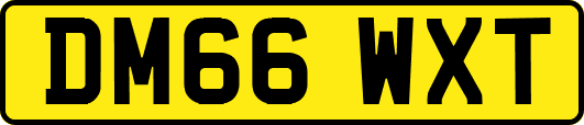 DM66WXT
