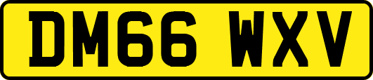 DM66WXV