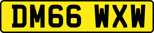 DM66WXW