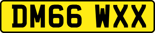 DM66WXX